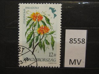 Фото марки Венгрия 1991г