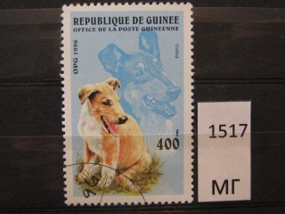 Фото марки Гвинея 1996г