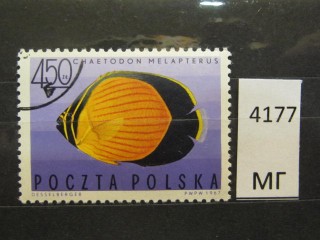 Фото марки Польша 1967г