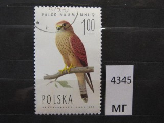 Фото марки Польша 1975г