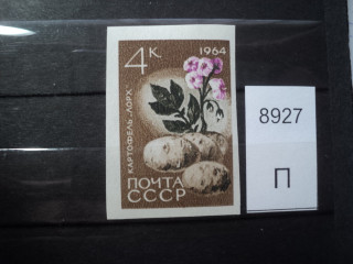 Фото марки СССР 1964г **