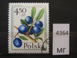 Фото марки Польша 1977г