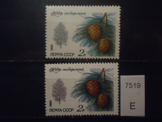 Фото марки СССР 1980г (разный оттенок дерева,хвои и шишек) **