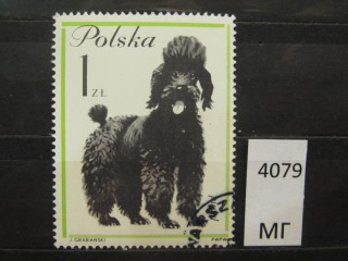Фото марки Польша 1963г