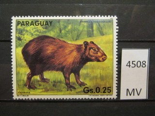 Фото марки Парагвай 1985г *