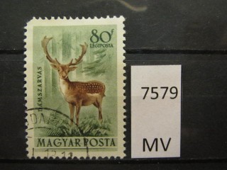 Фото марки Венгрия 1953г