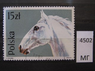Фото марки Польша 1989г