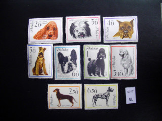 Фото марки 1963г собаки полная серия **
