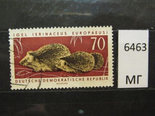 Фото марки ГДР 1963г