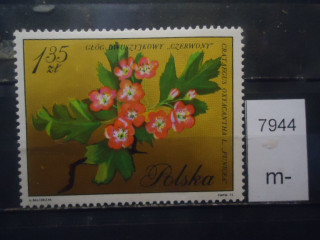 Фото марки Польша 1971г *