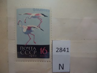 Фото марки СССР 1962г **