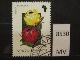 Фото марки Венгрия 1990г