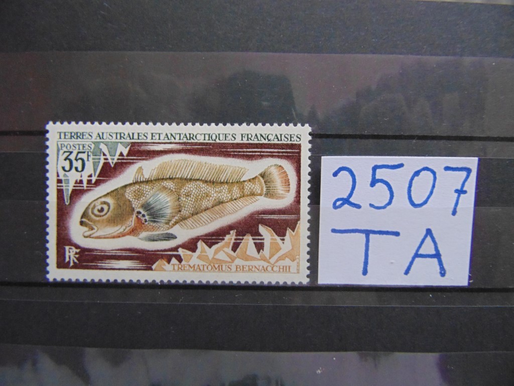 Фото марки Французская Антарктика 1971г *