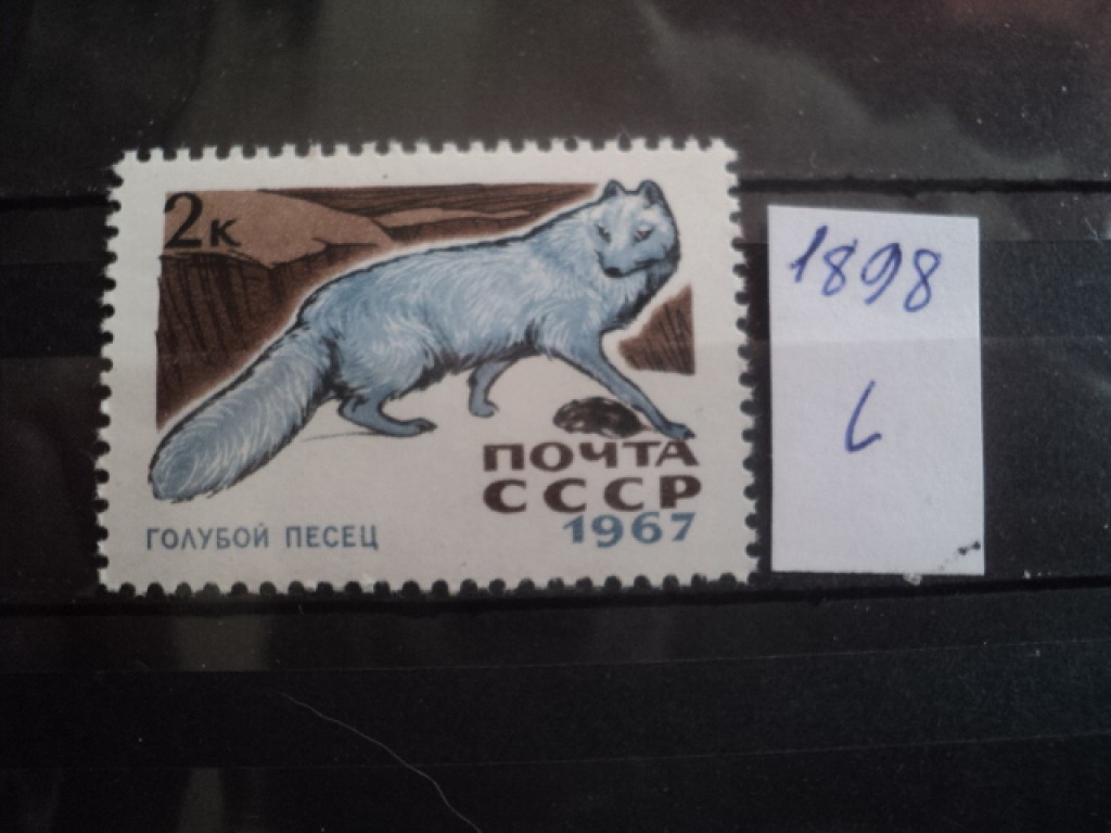 Фото марки СССР 1967г **
