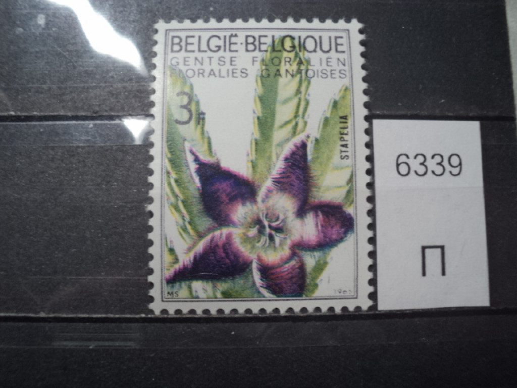 Фото марки Бельгия 1965г **