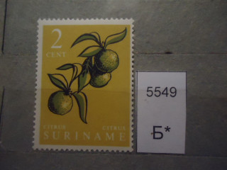 Фото марки Суринам 1961г *