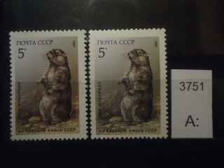 Фото марки СССР 1987г (разный оттенок фона и шерсти зверька; разный клей) **