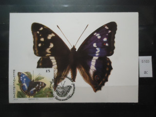 Фото марки Бельгия почтовая карточка