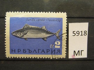 Фото марки Болгария 1965г