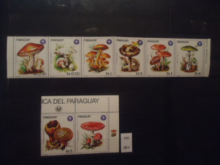 Фото марки Парагвай 1985г сцепки с купоном (17€) *