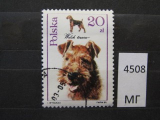 Фото марки Польша 1989г