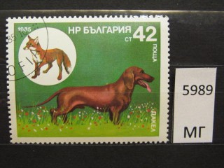 Фото марки Болгария 1985г