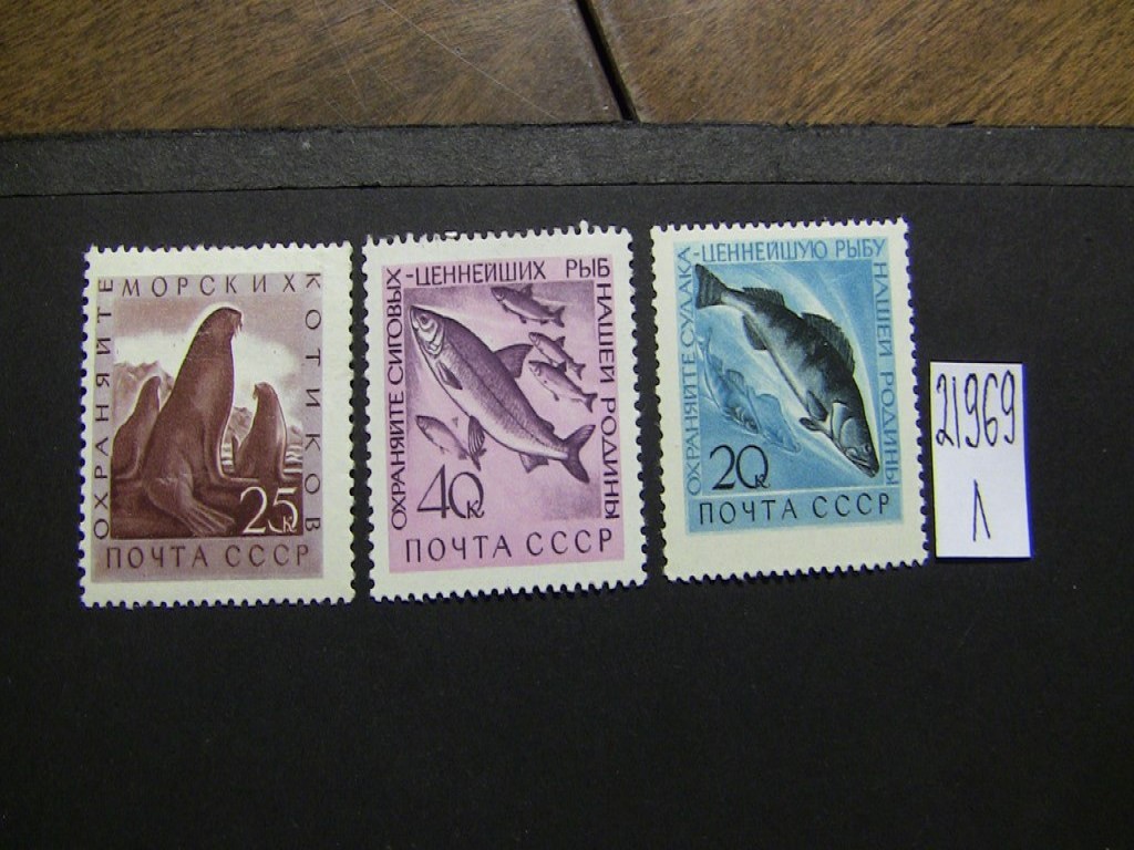Фото марки СССР 1960г **