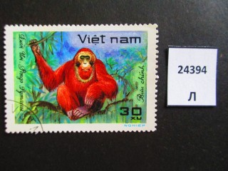 Фото марки Вьетнам 1981г