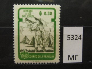 Фото марки Парагвай 1962г *