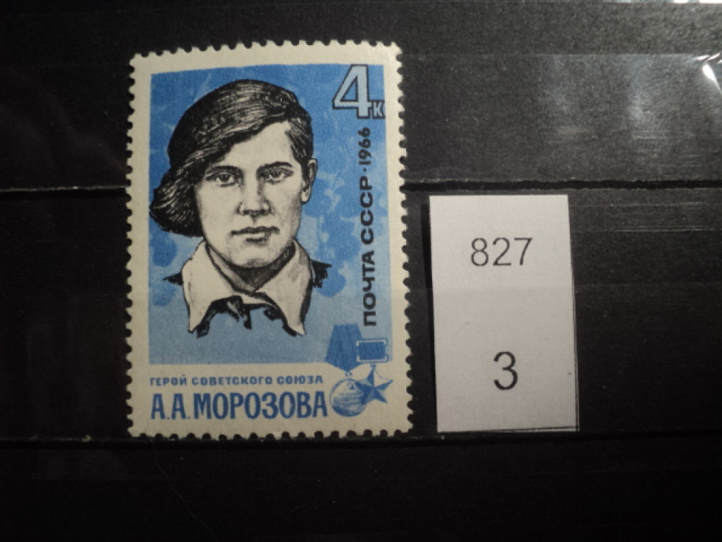 Фото марки СССР 1966г **
