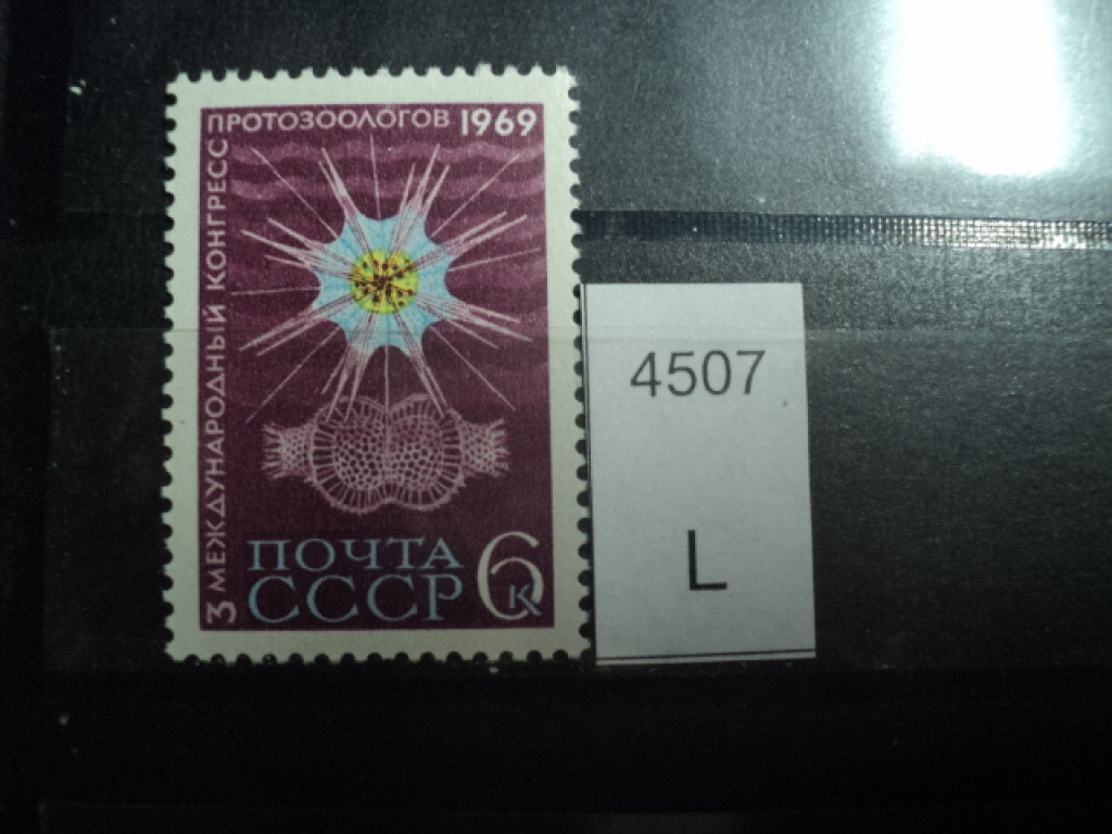 Фото марки СССР 1969г **
