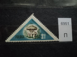 Фото марки Польша 1959г **