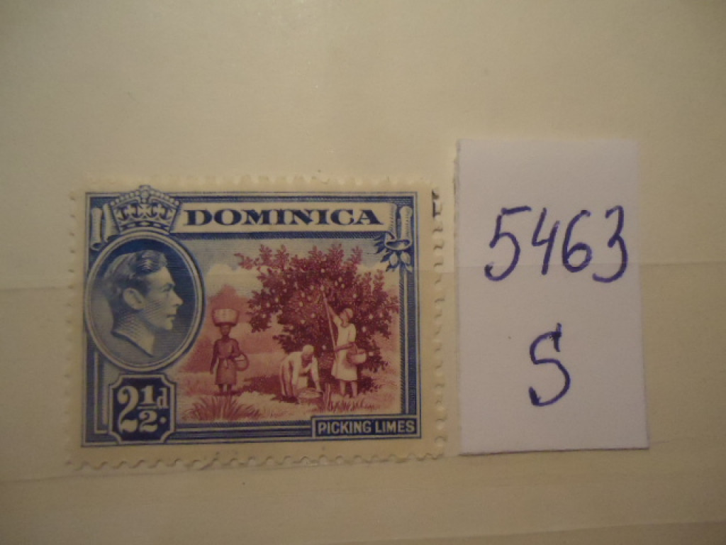 Фото марки Доминика 1 м *