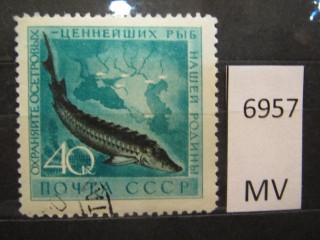 Фото марки СССР 1959г