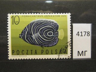 Фото марки Польша 1967г