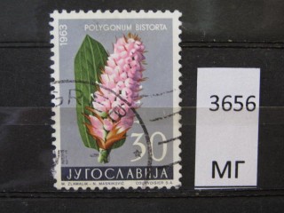 Фото марки Югославия 1963г