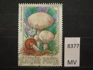 Фото марки Венгрия 1984г
