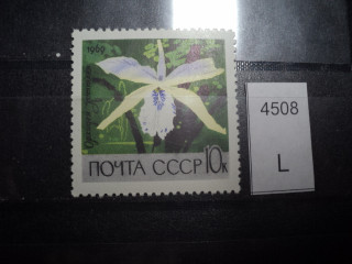 Фото марки СССР 1969г **