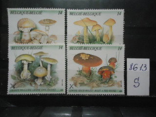 Фото марки Бельгия 1991г (6€) **