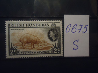 Фото марки Брит. Гондурас 1954г *