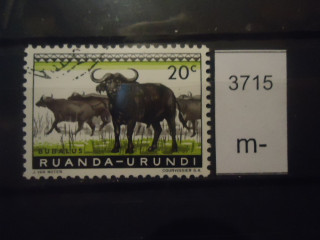 Фото марки Руанда/Урунди