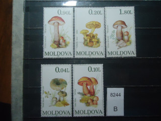 Фото марки Молдова 1995г серия **