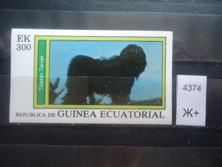 Фото марки Экваториальная Гвинея *
