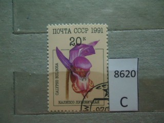 Фото марки СССР 1991г
