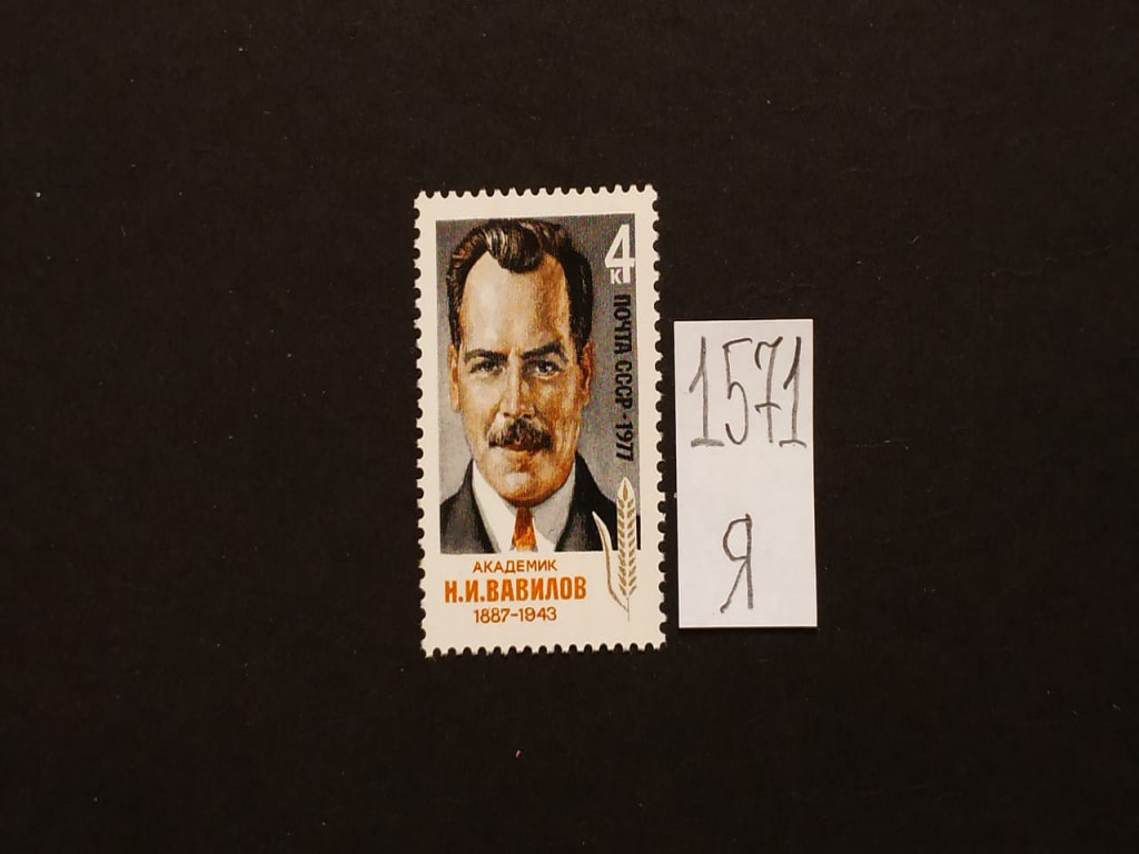 Фото марки СССР 1977г **