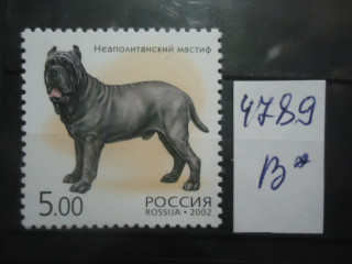Фото марки Россия 2002г **