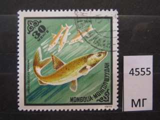 Фото марки Монголия 1975г
