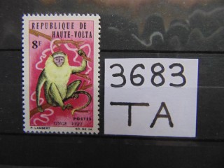 Фото марки Верхняя Вольта 1966г **