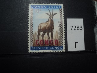 Фото марки Бельгийское Конго **