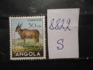 Фото марки Порт. Ангола 1953г *